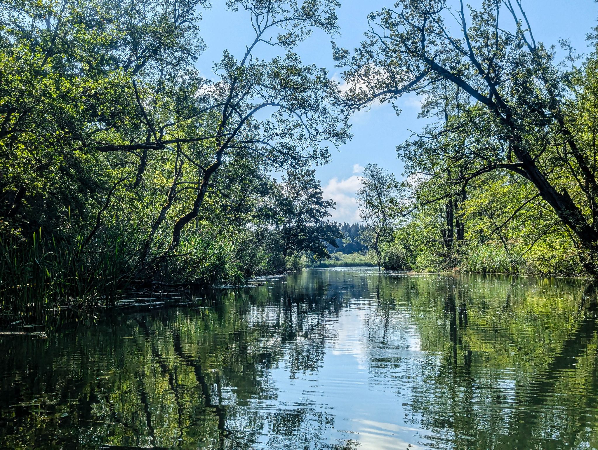 Kajaktour Leutstettner Moos 15.08.2024